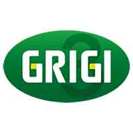 Grigi